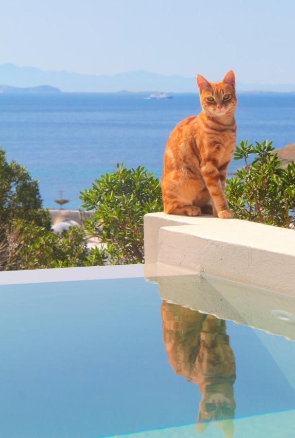 Villa With View Of Agios Ioannis And Pool With Jacuzzi Екстер'єр фото